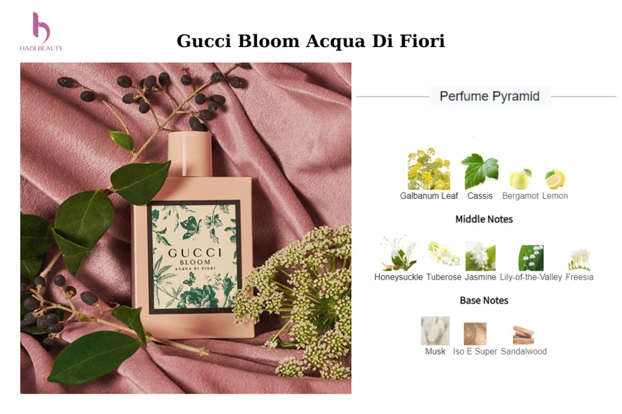 các note hương hoa cỏ trái cây đầy quyến rũ của nước hoa gucci bloom acqua di fiori