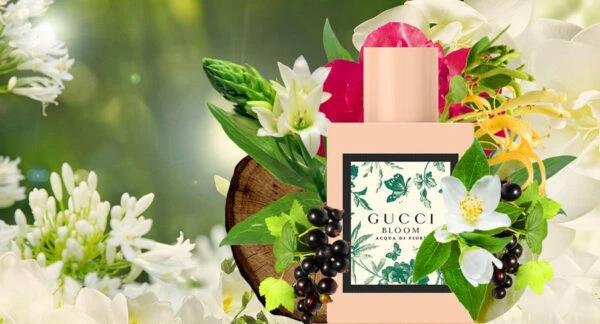các note hương hoa cỏ đầy quyến rũ của gucci bloom acqua di fiori
