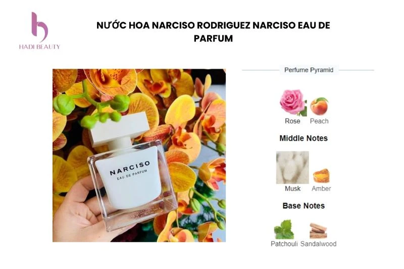 narciso-eau-de-parfum-co-huong-thom-mem-mai-va-cuon-hut