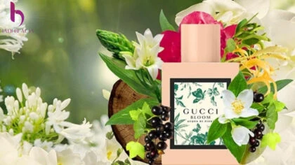 Review hương thơm nước hoa Gucci Bloom Acqua Di Fiori