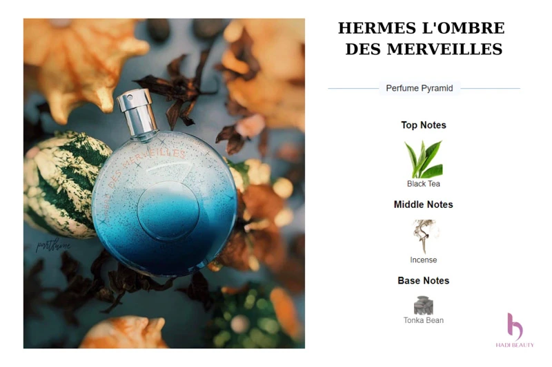 hermes l'ombre des merveilles edp với 3 lớp hương đơn giản nhưng lại rất mê hoặc