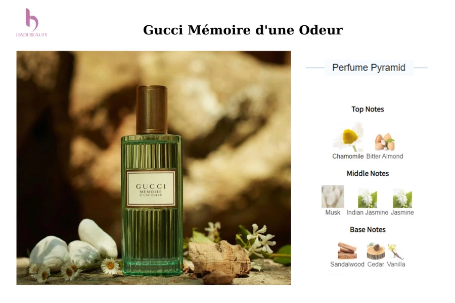 Mùi hương nổi bật chính của hoa cúc La mã có trong gucci mémoire d'une odeur eau de parfum