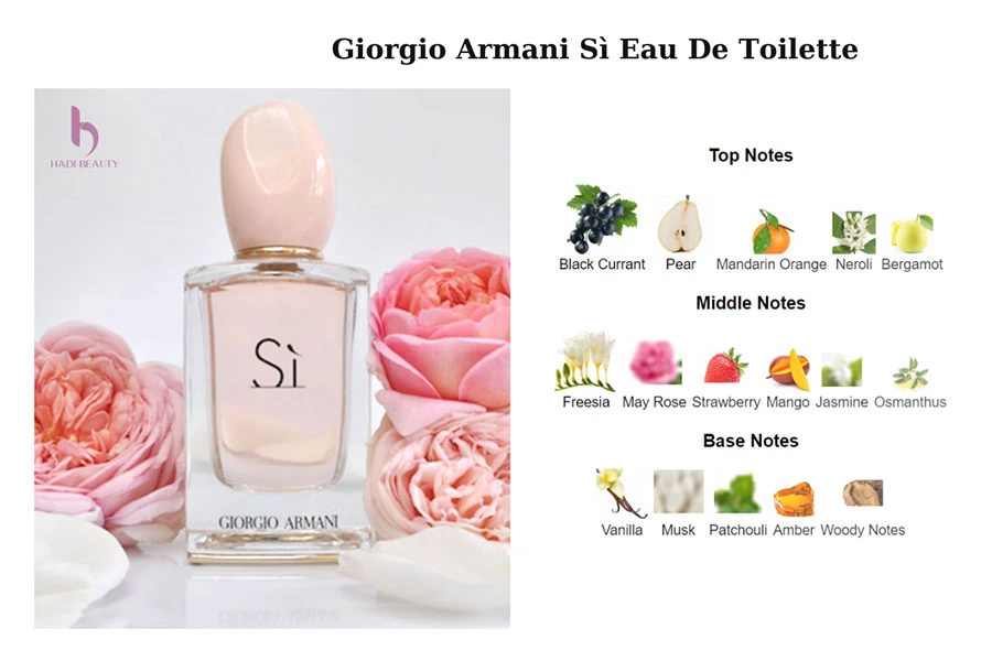 Các tầng hương nước hoa giorgio armani si eau de toilette 100 ml