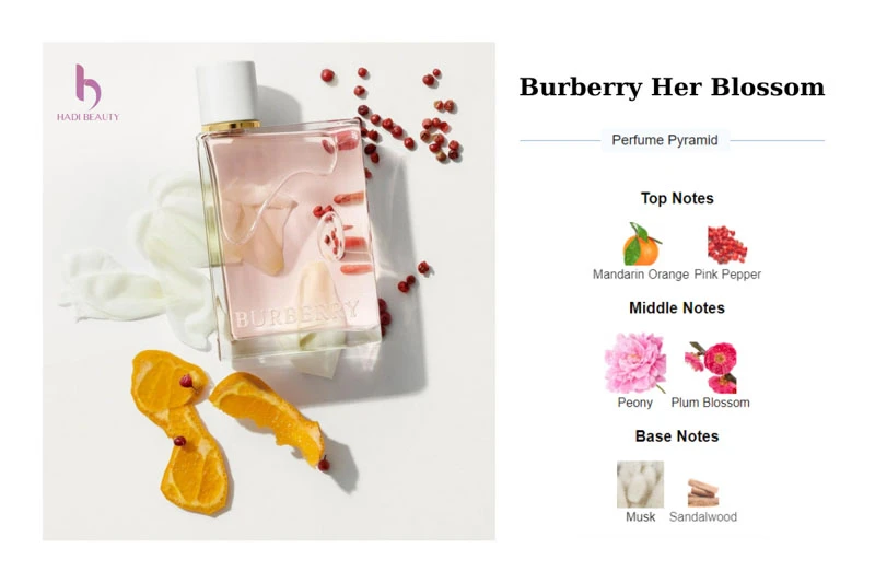 Các lớp hương trong Burberry her blossom nước hoa