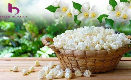hương hoa trắng đặc trưng của dòng nước hoa gucci bloom review